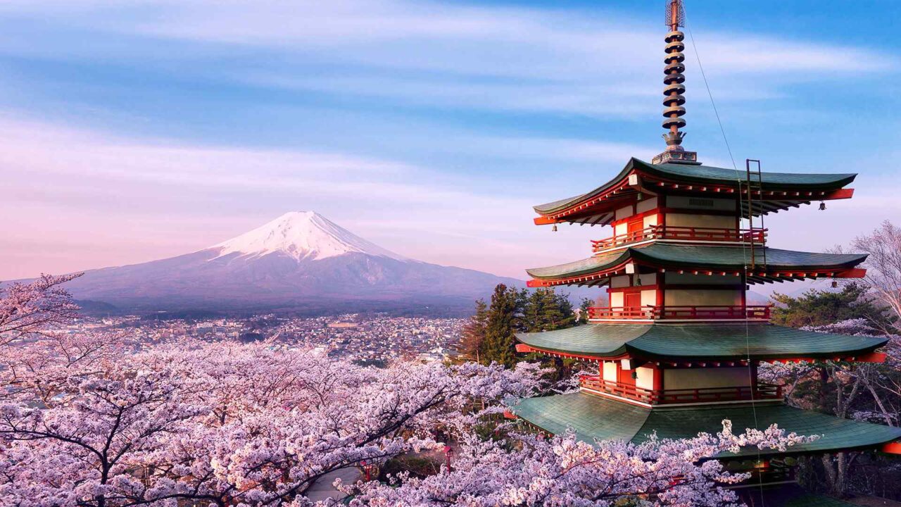 My Japan Trip – Hirosaki, Aomori/Sakura Blossom