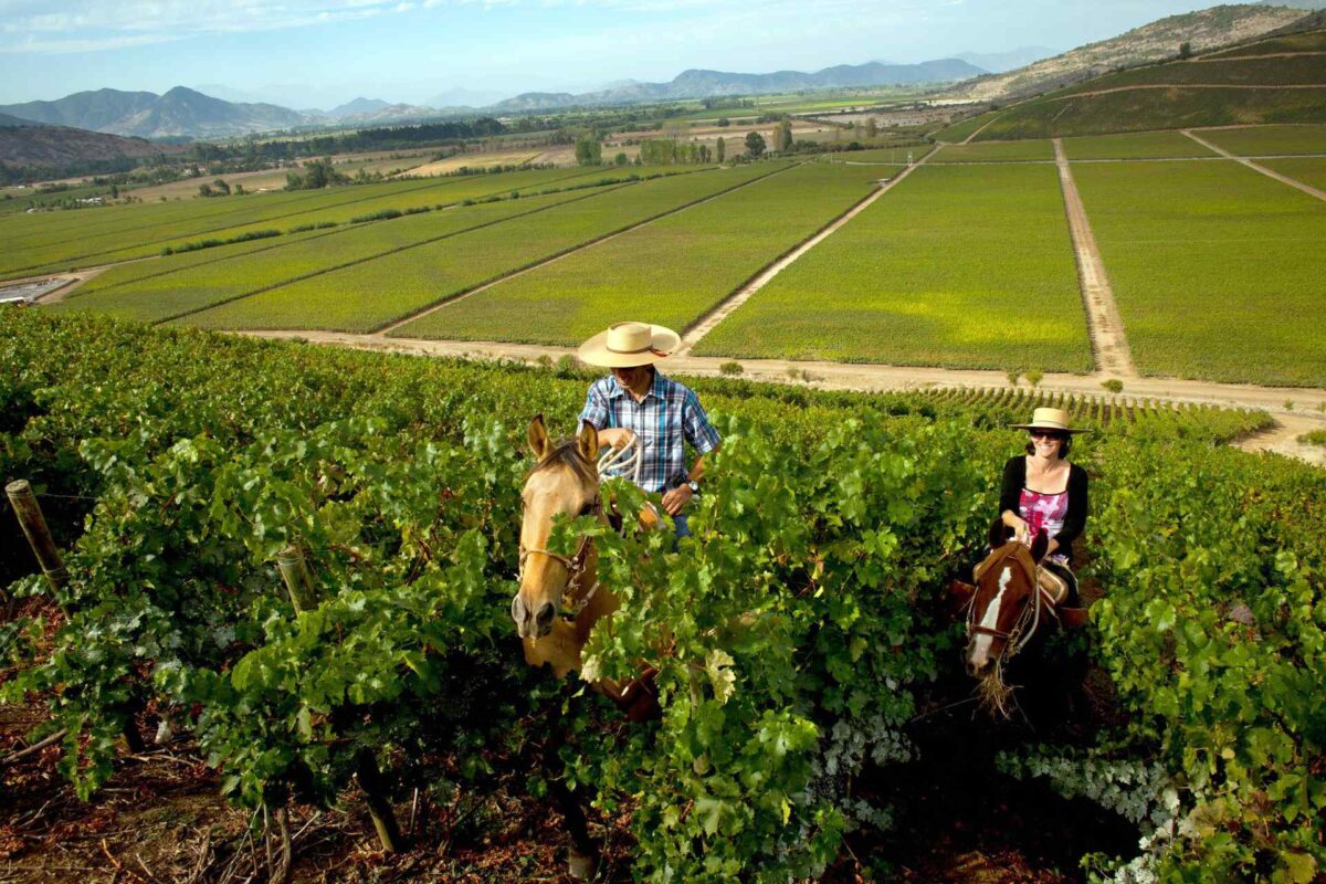 The Best Wine Tours in Chile