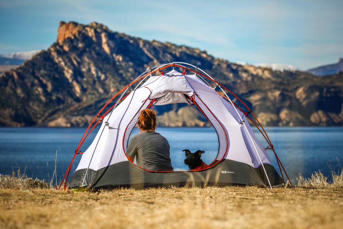 8 Essential Tips for Camping with Your Dog