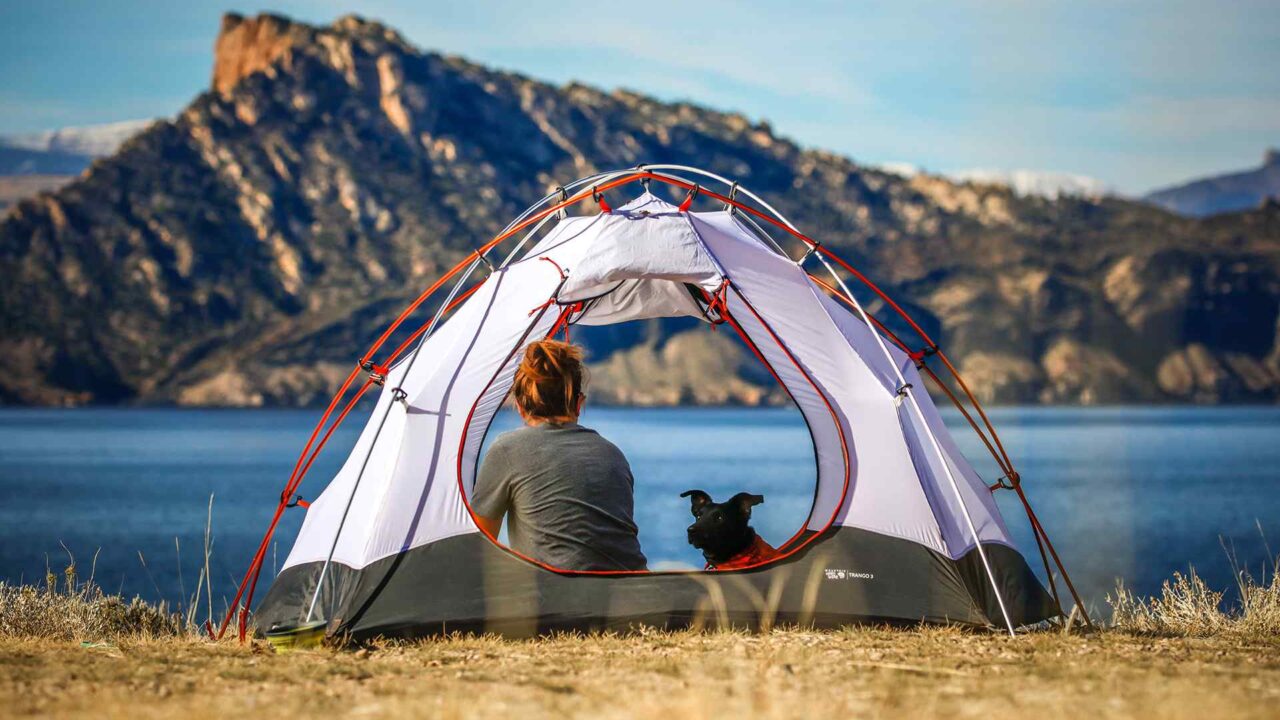 8 Essential Tips for Camping with Your Dog